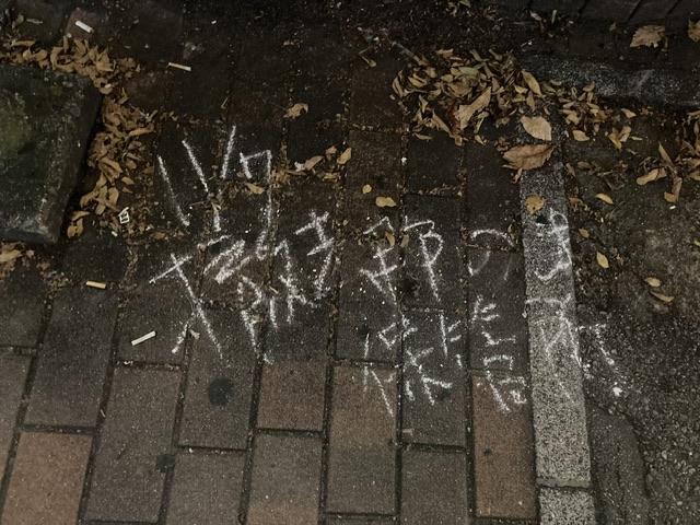 ゴミが多かった！夜そうじ画像