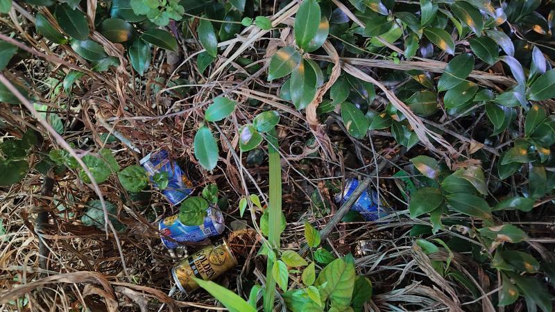 【北新地】今年も解禁の木曜バード【11月第3木曜日】画像