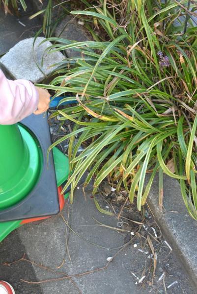 今日のお掃除日記2023年11月19日編画像