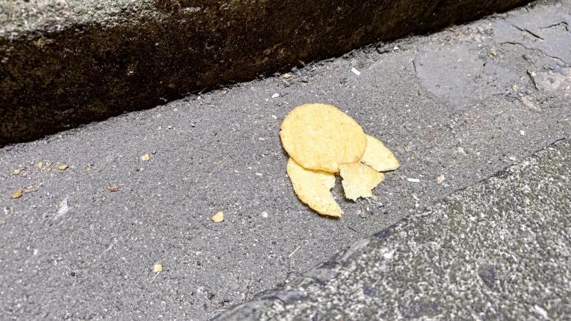 【北新地】冬、はじめました？な定例おそうじ【11月第4土曜日】画像