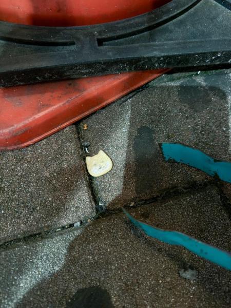 冷えてきましたね。夜そうじ画像