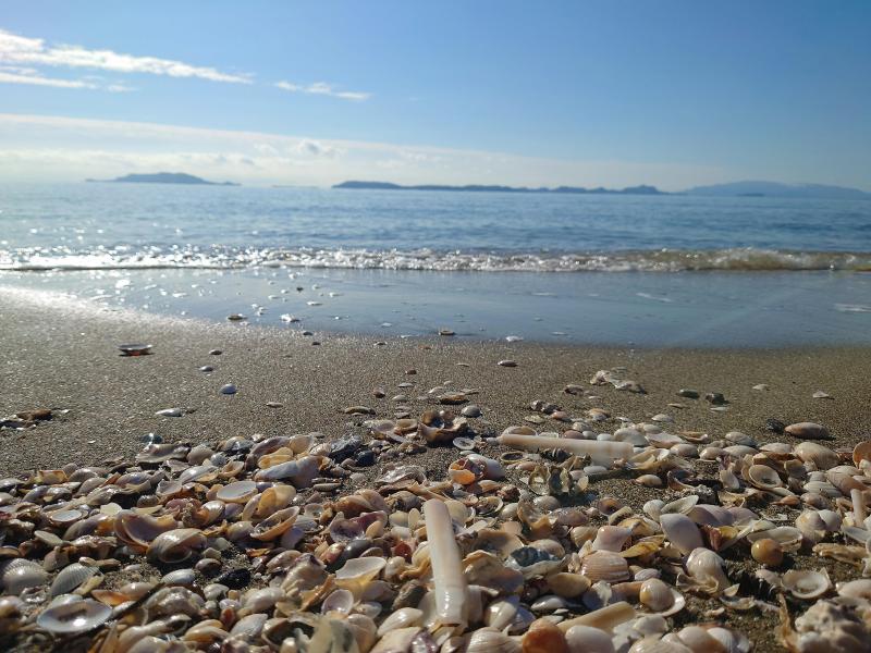 海のモーニングおそうじ画像