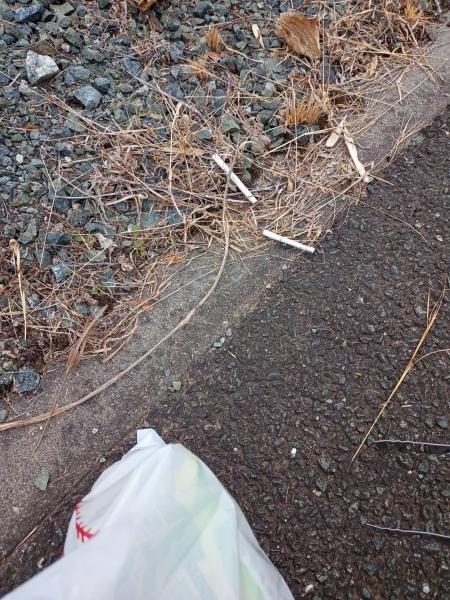  第二回目、定例朝掃除画像