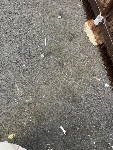 赤坂ひるそうじ画像