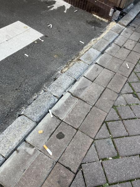 赤坂ひるそうじ画像