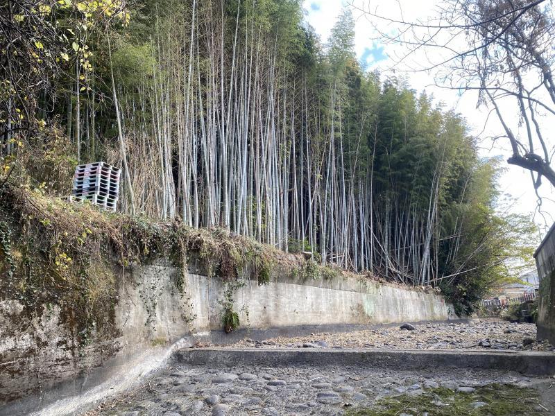 久しぶりの上井手底のお掃除 画像