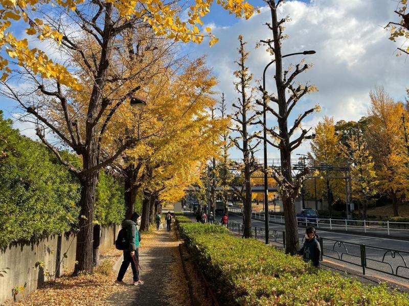 駒沢公園そうじ画像