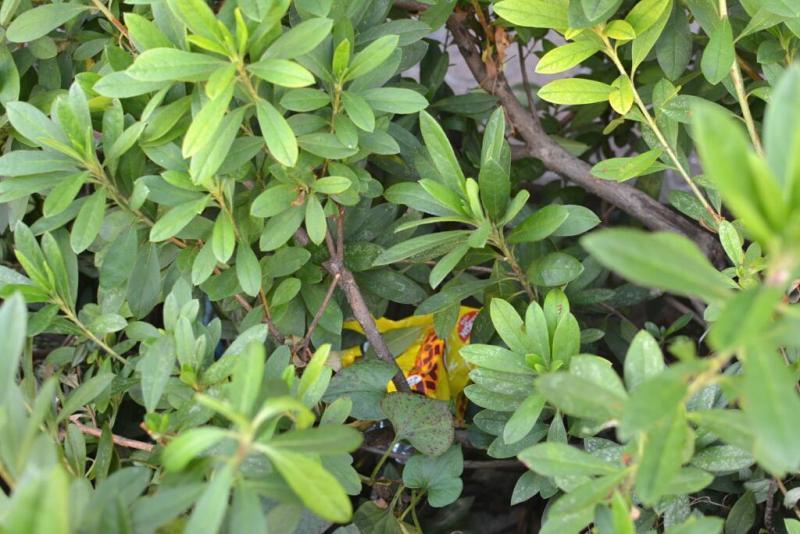 今日のお掃除日記2023年12月10日編画像