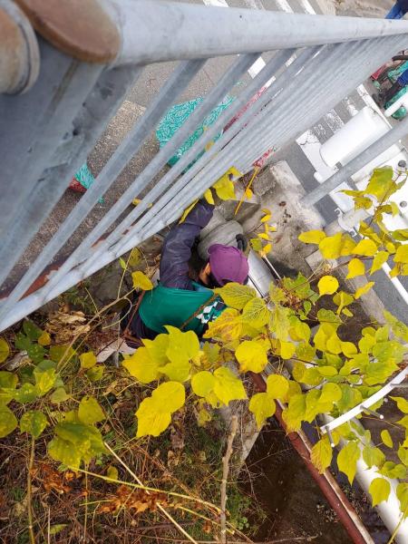 TAKASAGOgreenレンジャー画像