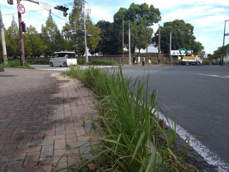 イオンモール大牟田店コラボ防災グリーンバード画像