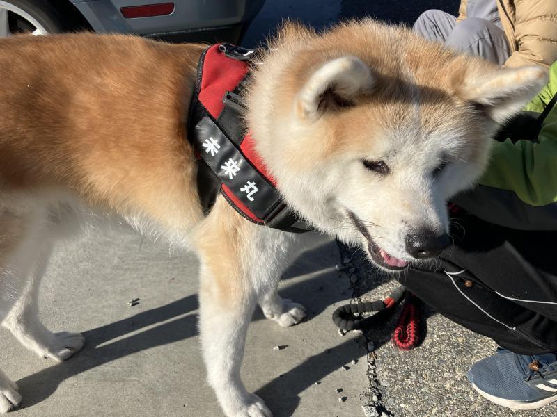 【静岡】海岸おそうじ(静岡チーム通算第289回)画像