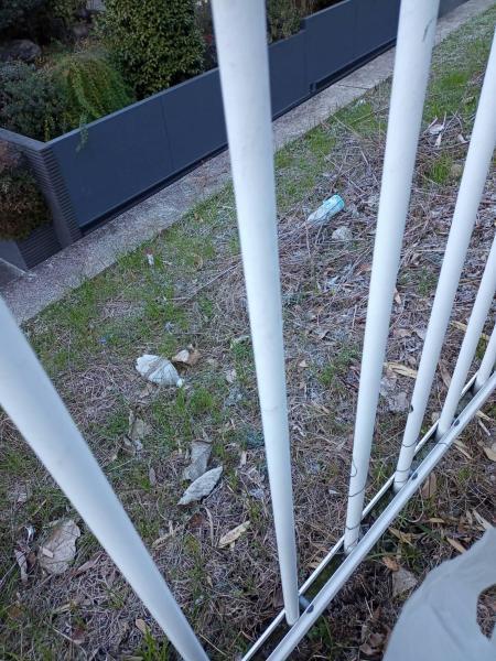 第3回目の定例朝掃除画像