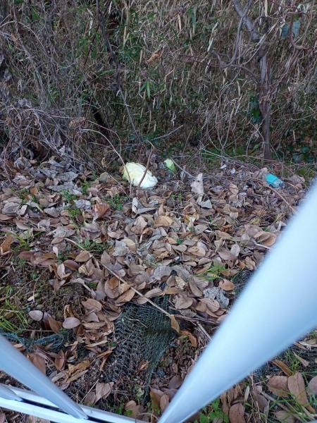 第3回目の定例朝掃除画像