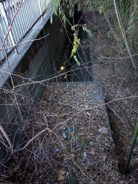 第3回目の定例朝掃除画像