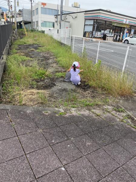 定例お掃除☆６月画像