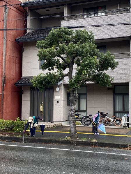 駅周辺まちなかおそうじ画像