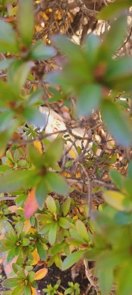 【米子】年明けおそうじ始め！画像