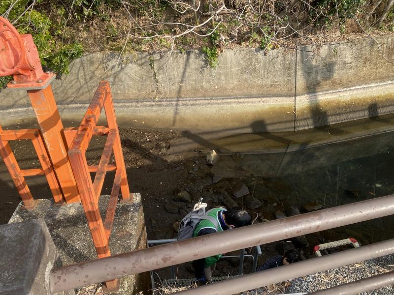 コラボ掃除になりました おおづ地域コミュニティhakoさんと！画像