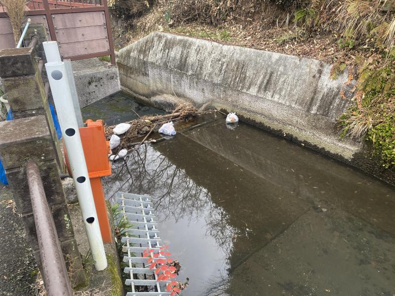 コラボ掃除になりました おおづ地域コミュニティhakoさんと！画像