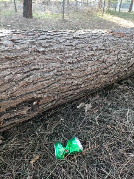 年末おそうじ画像