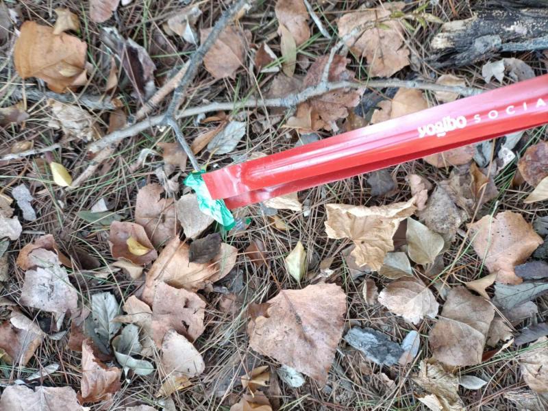 年末おそうじ画像