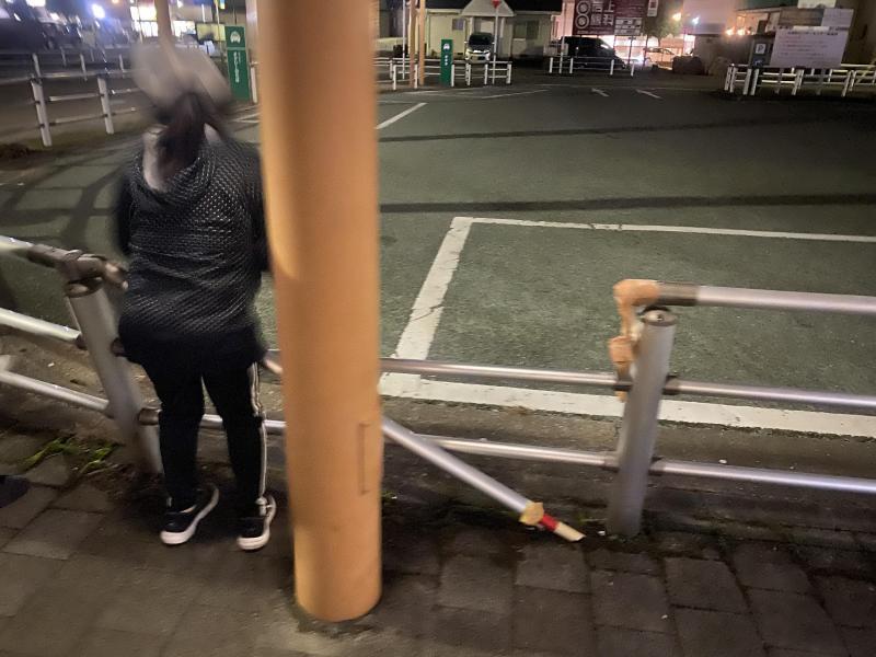 ゾロARあるよ！画像