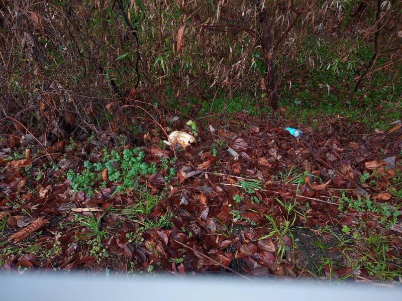 雨降りの後の晴れ間 お掃除画像