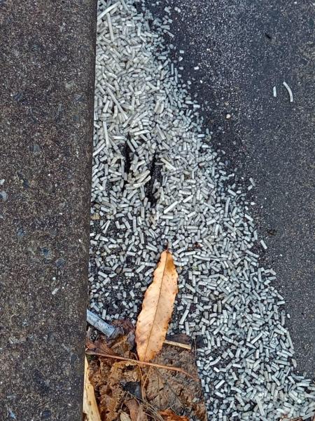雨降りの後の晴れ間 お掃除画像