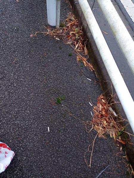 雨降りの後の晴れ間 お掃除画像