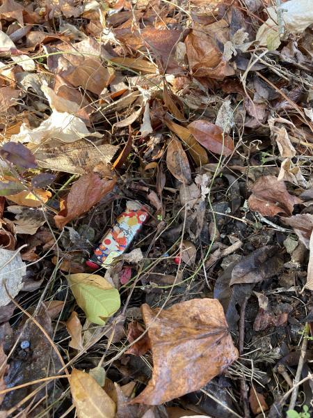 明けました。〜丘の上ver.〜画像