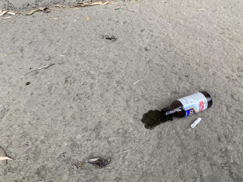 【雨天中止にはなりましたが】大津よかとこコラボ画像