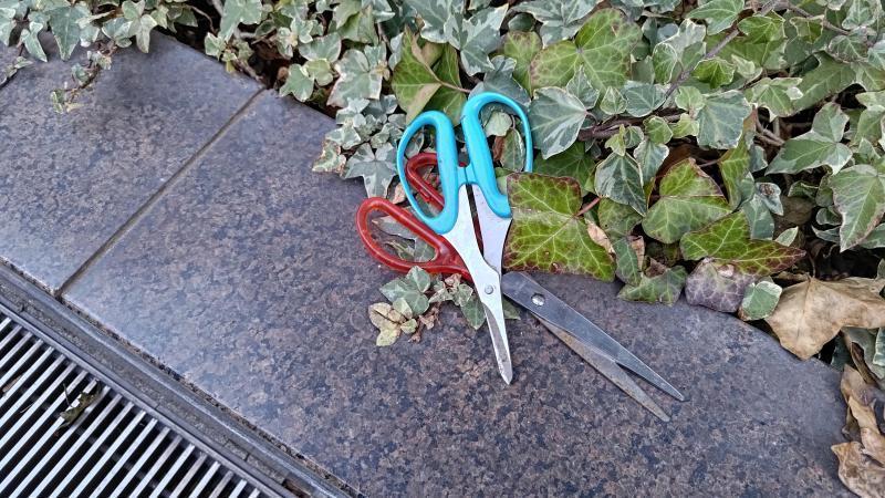 【北新地】新年あけまして定例おそうじ【1月第4土曜日】画像