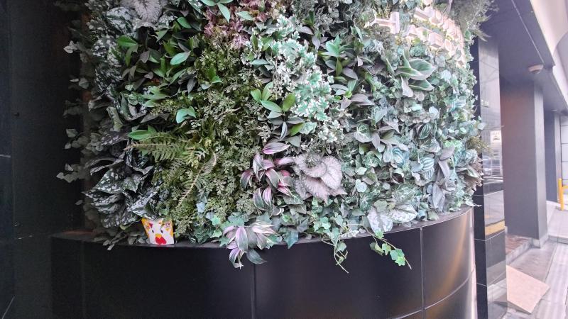 【北新地】新年あけまして定例おそうじ【1月第4土曜日】画像