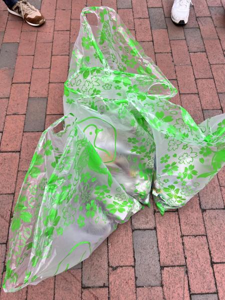 ボストンチーム12月おそうじ画像