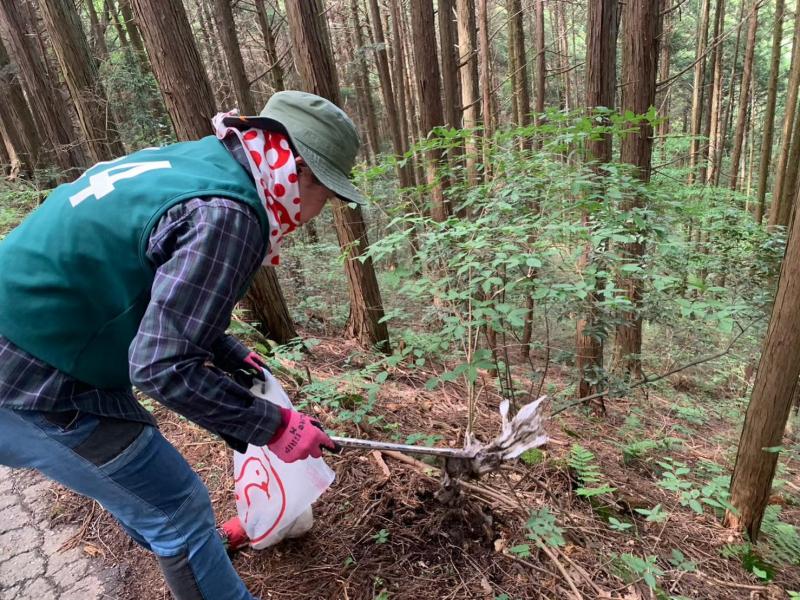 久しぶりに大集合画像