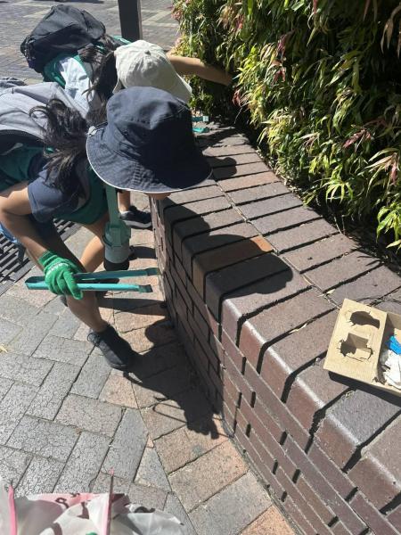 Circular Quay Clean Up!画像