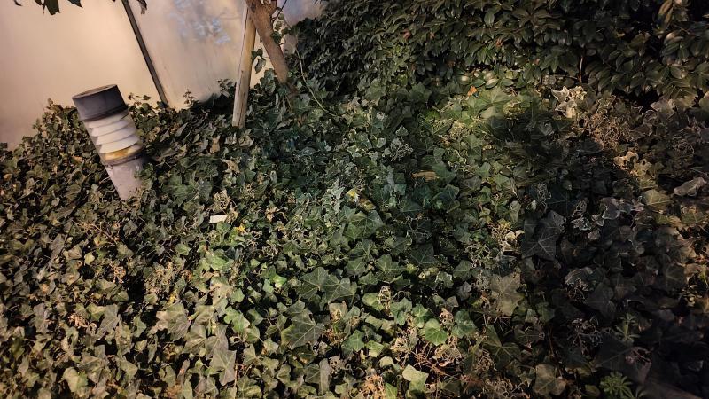 【北新地】あったか心地よい天候の木曜バード【3月第2木曜日】画像