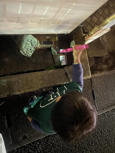 暖かくなってきた？画像