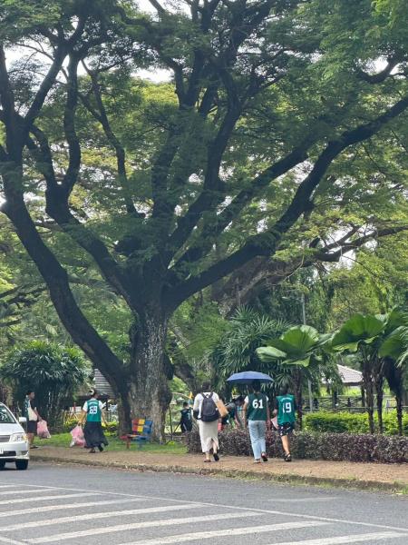 フィジーチーム第三回目『福拾い大作戦』画像