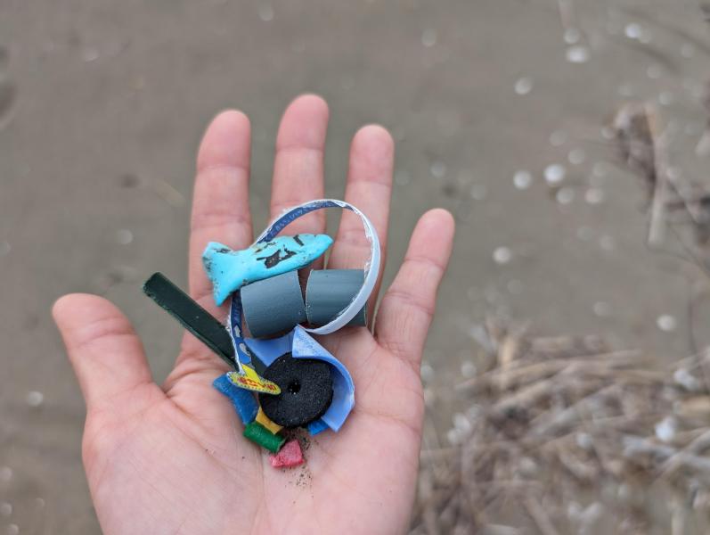 海のモーニングおそうじ画像