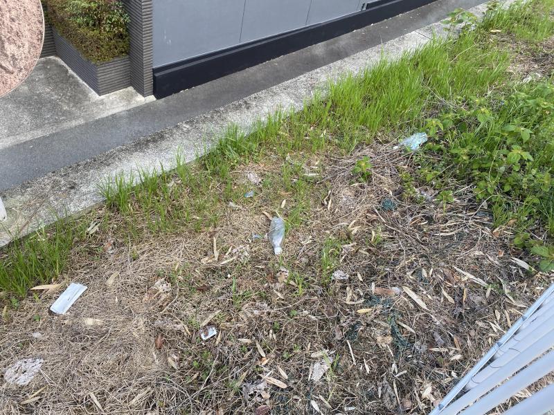 延期していた日曜掃除！画像