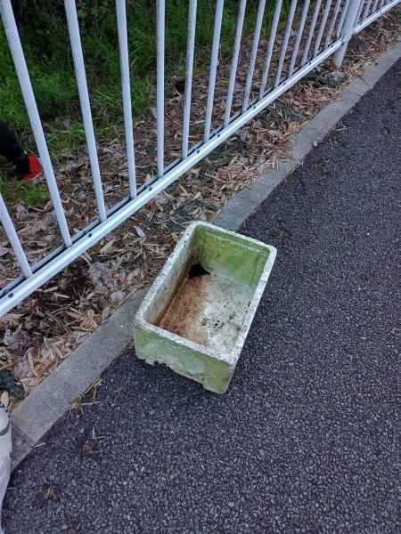 延期していた日曜掃除！画像