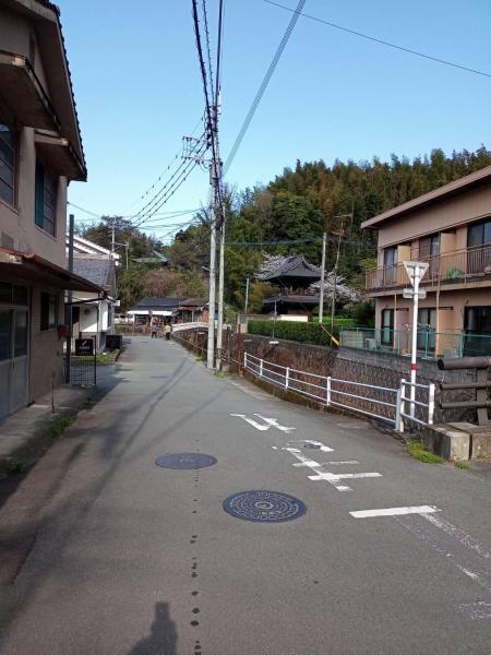 延期していた日曜掃除！画像