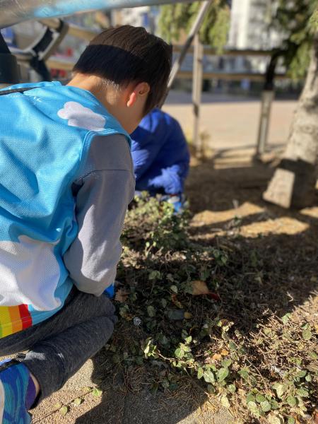 今年最後の活動です。画像