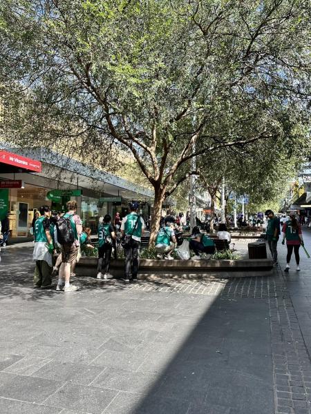 ゴミ拾いをしにチャッツウッドに戻りました！画像