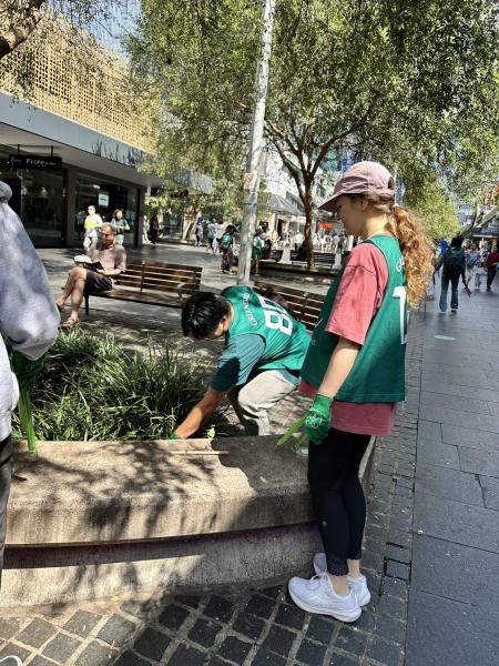 ゴミ拾いをしにチャッツウッドに戻りました！画像