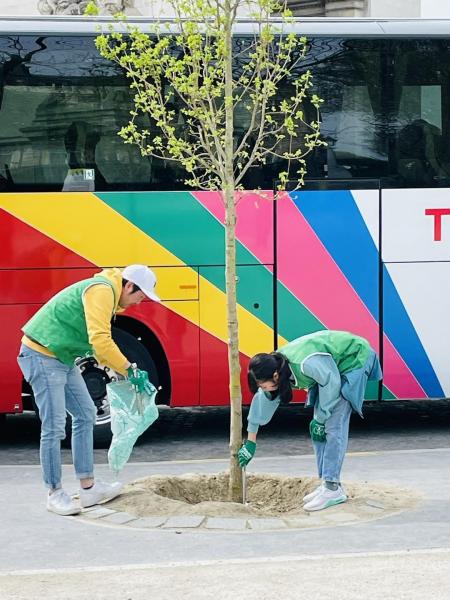 一日だけの夏日画像