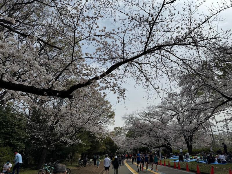 駒沢公園そうじ画像