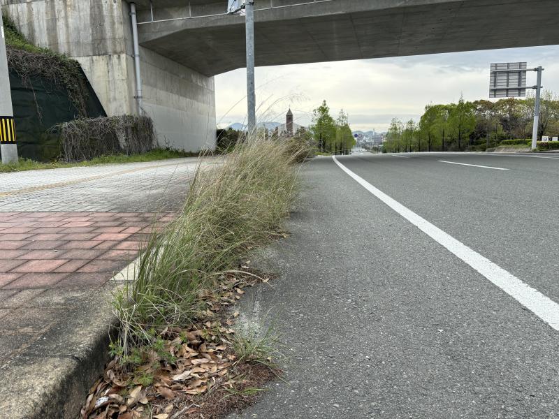 防災グリーンバードイオンモール大牟田店さんコラボお掃除画像