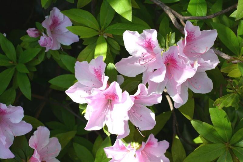 今日のお掃除日記2024年4月14日編画像